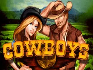 Copertina del gioco Cowboys